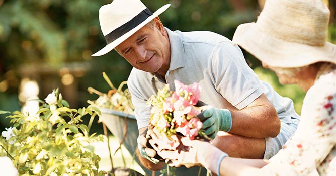 401k-rollover-mobile Man Gardening with Wife