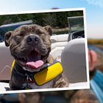 Boat Insurance Near Me The Resource Center 417-882-1800 Springfield Branson Ozark Nixa Bolivar Table Rock Lake